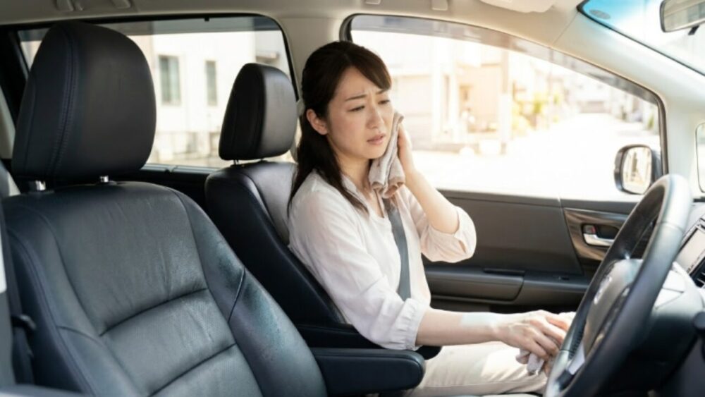 本革シート評価の分かれ道