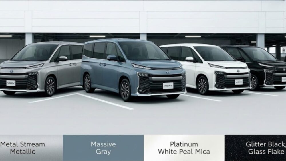 マッシブグレーと他色の比較